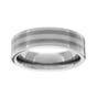 Titanium Platinum Stripe 6mm Ring