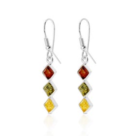 Wald Silver Multi-Coloured Amber Earrings