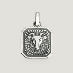 Sky Silver Capricorn Zodiac Medallion Pendant Charm