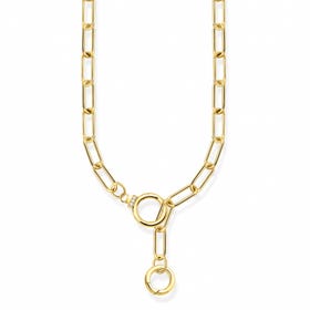 Gold Plated Zirconia Two Ring Link Necklace