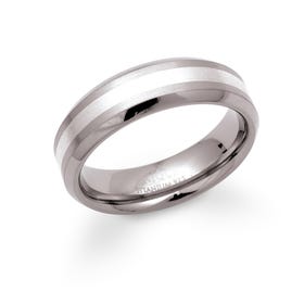 Titanium 6mm Ring with Silver Detail