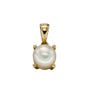 9ct Gold Disc & Fresh Water Pearl June Birthstone Necklace