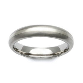 Titanium and 9ct White Gold Stripe Domed 4mm Ring